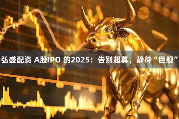 弘盛配资 A股IPO 的2025：告别超募，静待“巨舰”