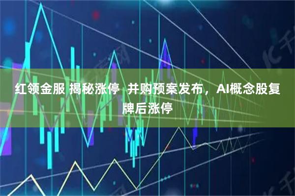 红领金服 揭秘涨停  并购预案发布，AI概念股复牌后涨停