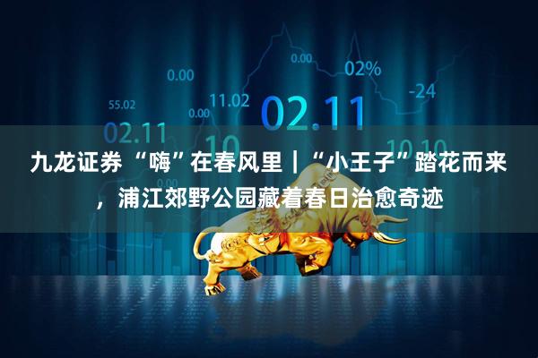 九龙证券 “嗨”在春风里｜“小王子”踏花而来，浦江郊野公园藏着春日治愈奇迹