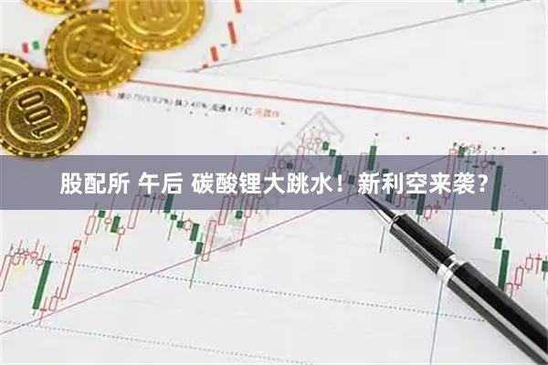 股配所 午后 碳酸锂大跳水！新利空来袭？